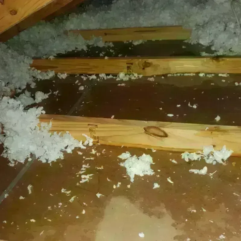 Attic Water Damage in Cook County, IL