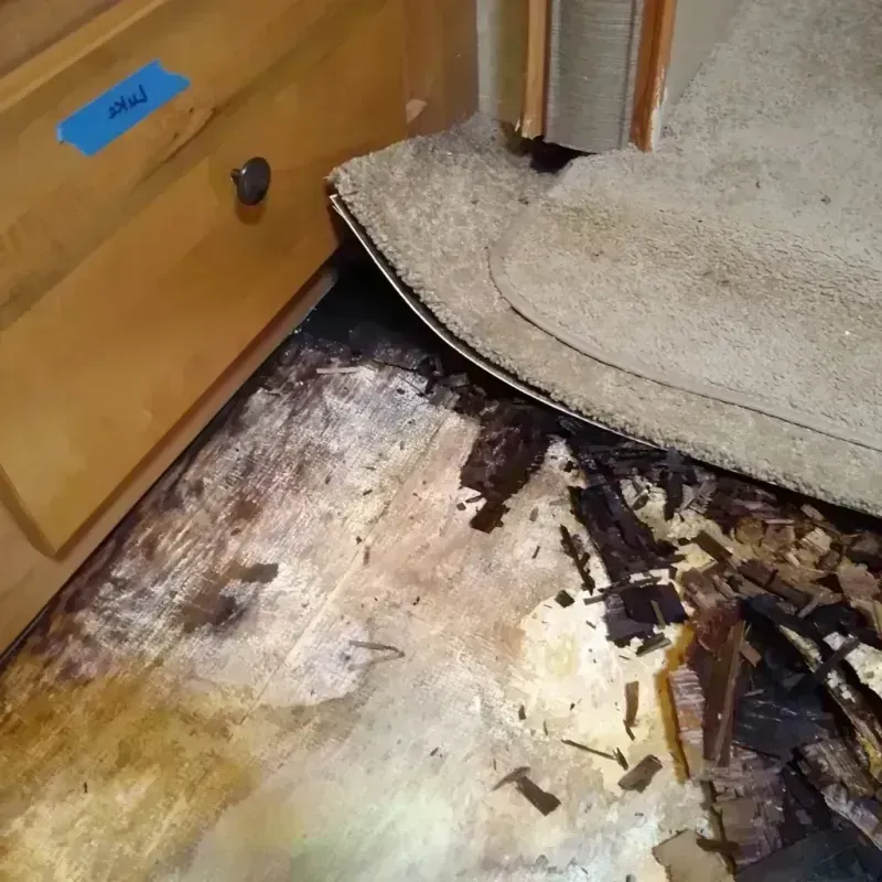 Wood Floor Water Damage in Cook County, IL